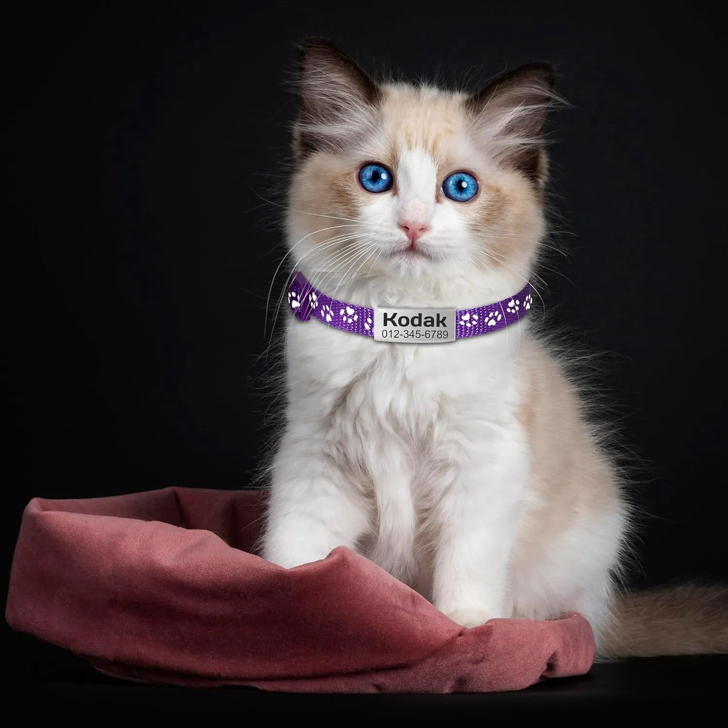3 Pack Personalized Cat Collar with Name Tag, Custom Reflective Cat Collars Breakaway, Anti-Lost Nameplate Cat Collar with Bell for Boy and Girl Kitten/Cat(Purple)
