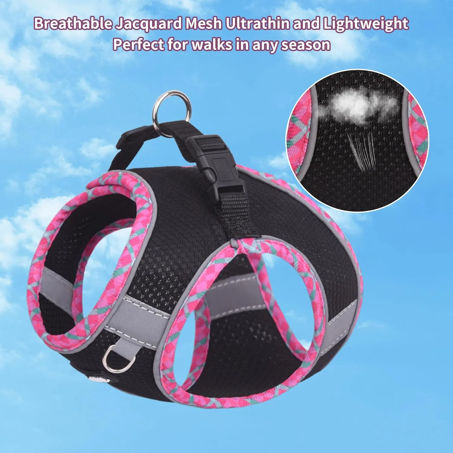 AIITLE XXS Dog Harness & Leash Set - Breathable Reflective No-Choke Small Dog Harness for Teacup Puppies, Indoor/Outdoor Use - Boston Terrier, Maltese, Chihuahua(Black, XXS)