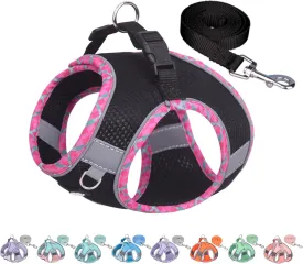 AIITLE XXS Dog Harness & Leash Set - Breathable Reflective No-Choke Small Dog Harness for Teacup Puppies, Indoor/Outdoor Use - Boston Terrier, Maltese, Chihuahua(Black, XXS)