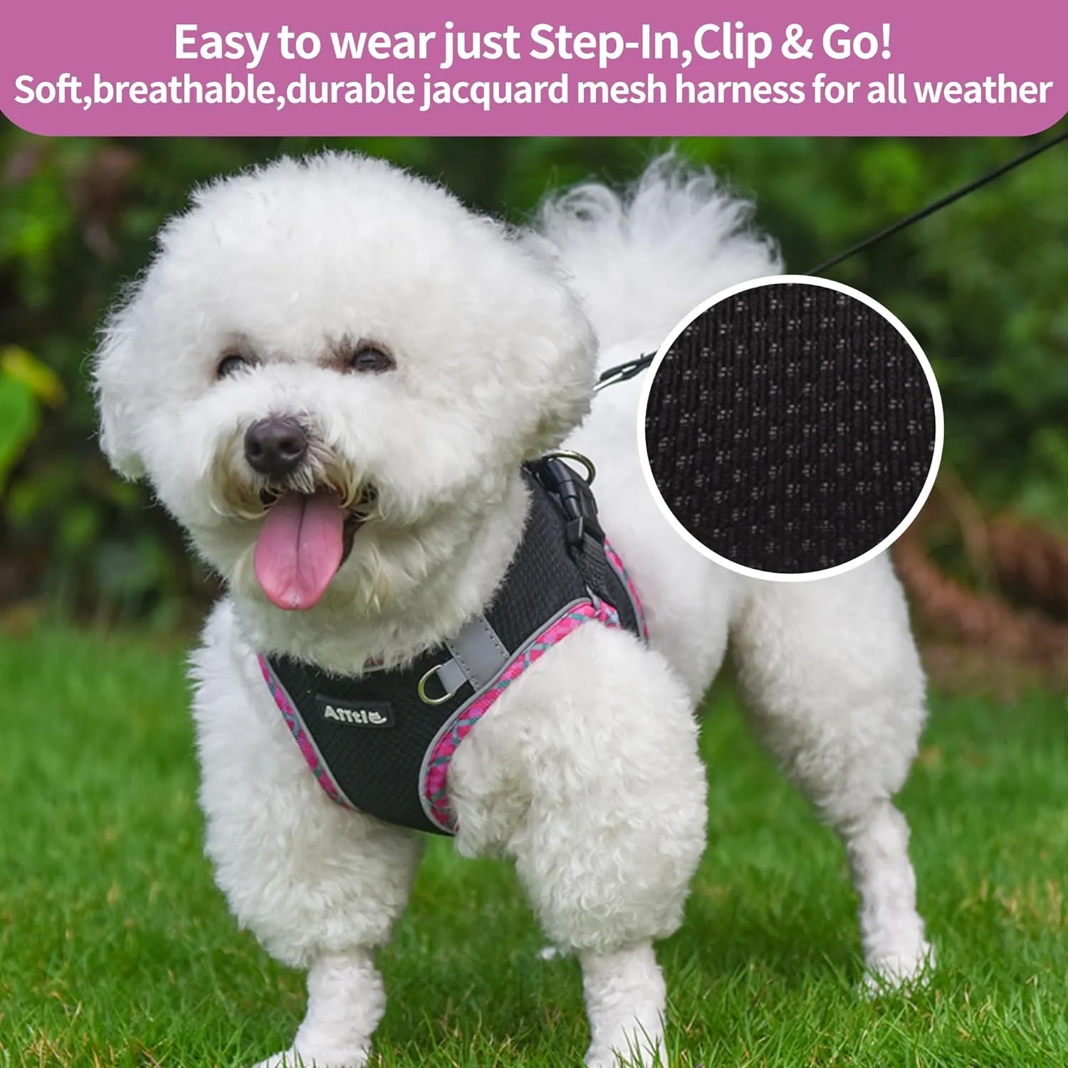 AIITLE XXS Dog Harness & Leash Set - Breathable Reflective No-Choke Small Dog Harness for Teacup Puppies, Indoor/Outdoor Use - Boston Terrier, Maltese, Chihuahua(Black, XXS)
