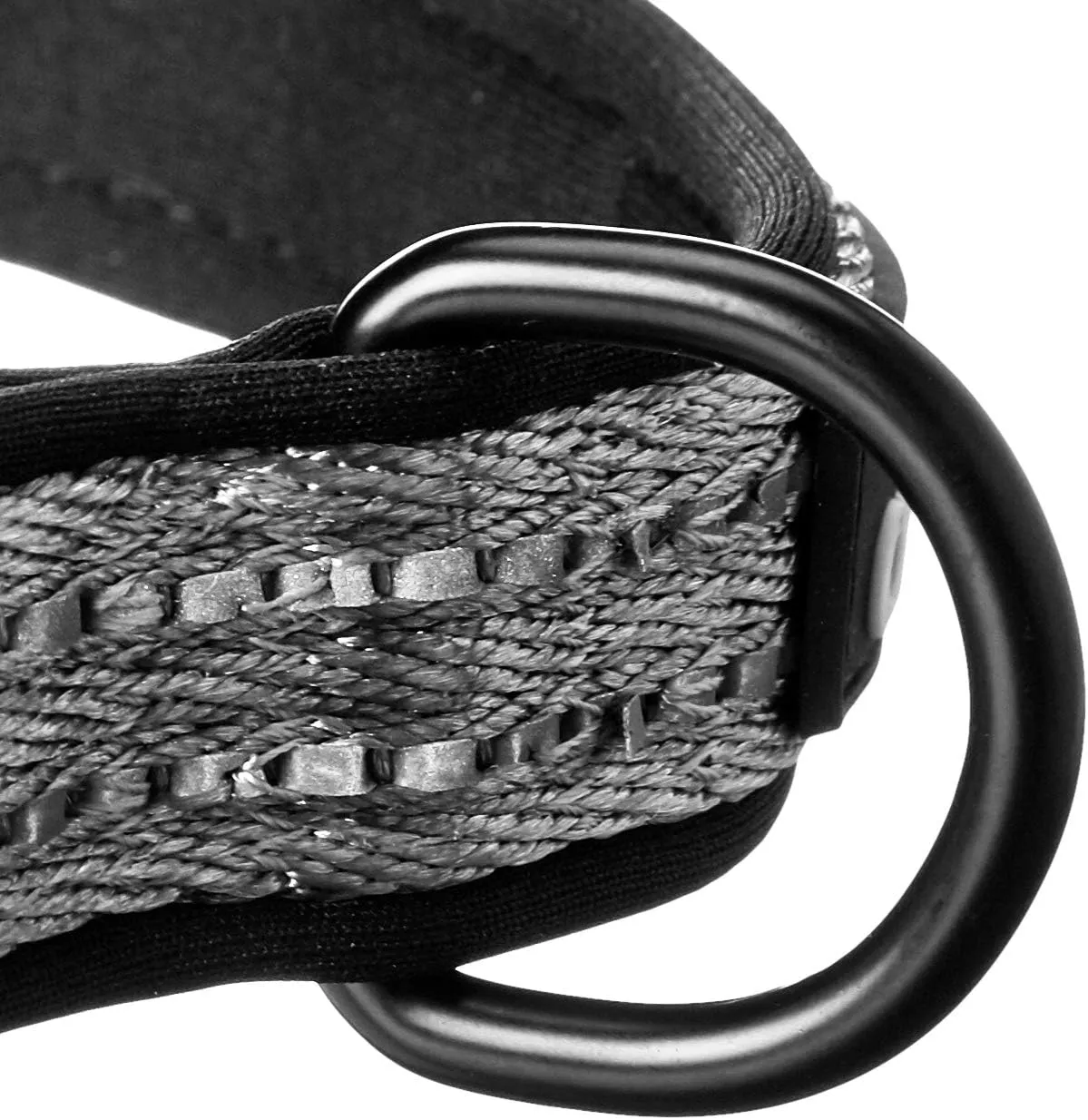 alcott Adventure Dog Collar, Medium, Grey