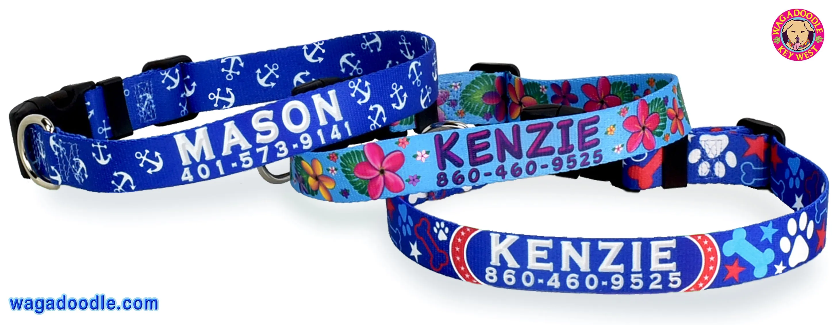 Anchors on Navy Blue Dog Collar