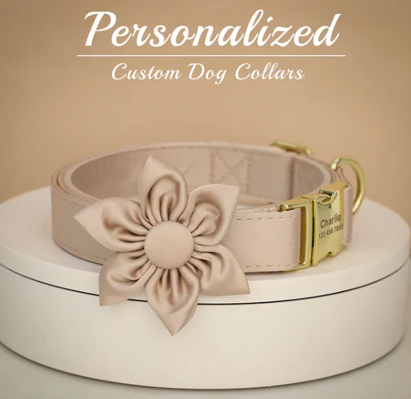 Barky Brown Butterfly Collar With Flower Set- Personalized