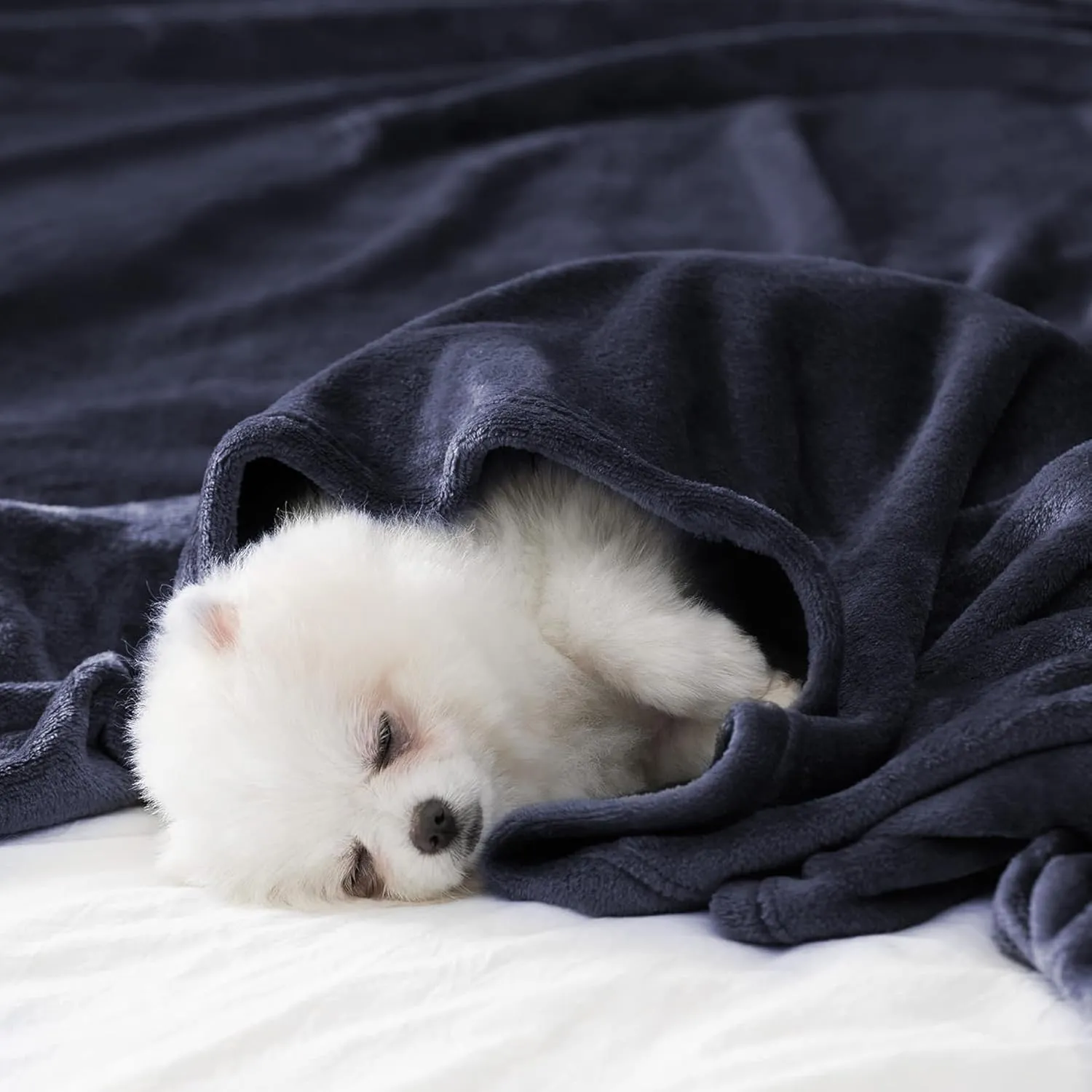 BEAUTEX Fleece Blanket Queen Size Super Soft Flannel Throw Blanket Lightweight Fuzzy Plush Blanket for Couch Sofa or Bed All Seasons (Navy Blue, 90" x 90")