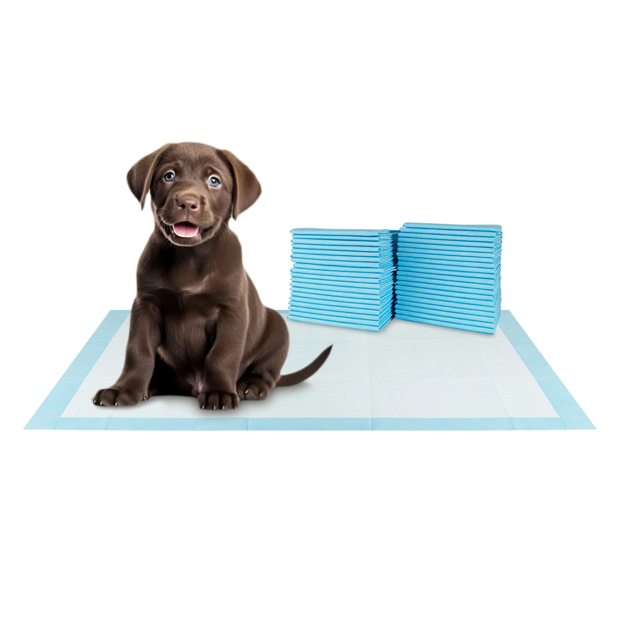 BV Pet Training Pads - Dog, Cat, Rabbit, Guinea Pig, 30"x36", 40-Count