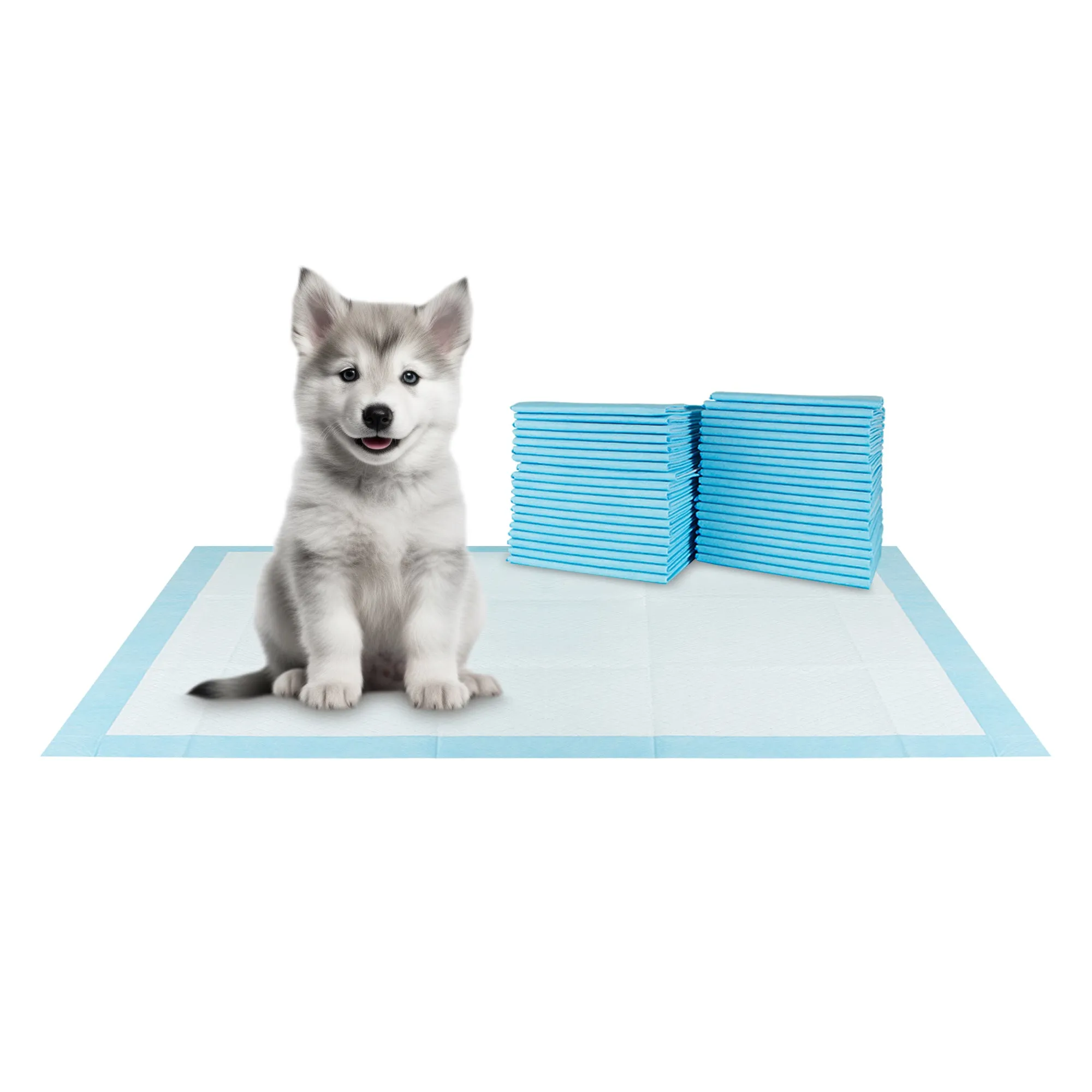 BV Pet Training Pads - Dog, Cat, Rabbit, Guinea Pig, 30"x36", 40-Count