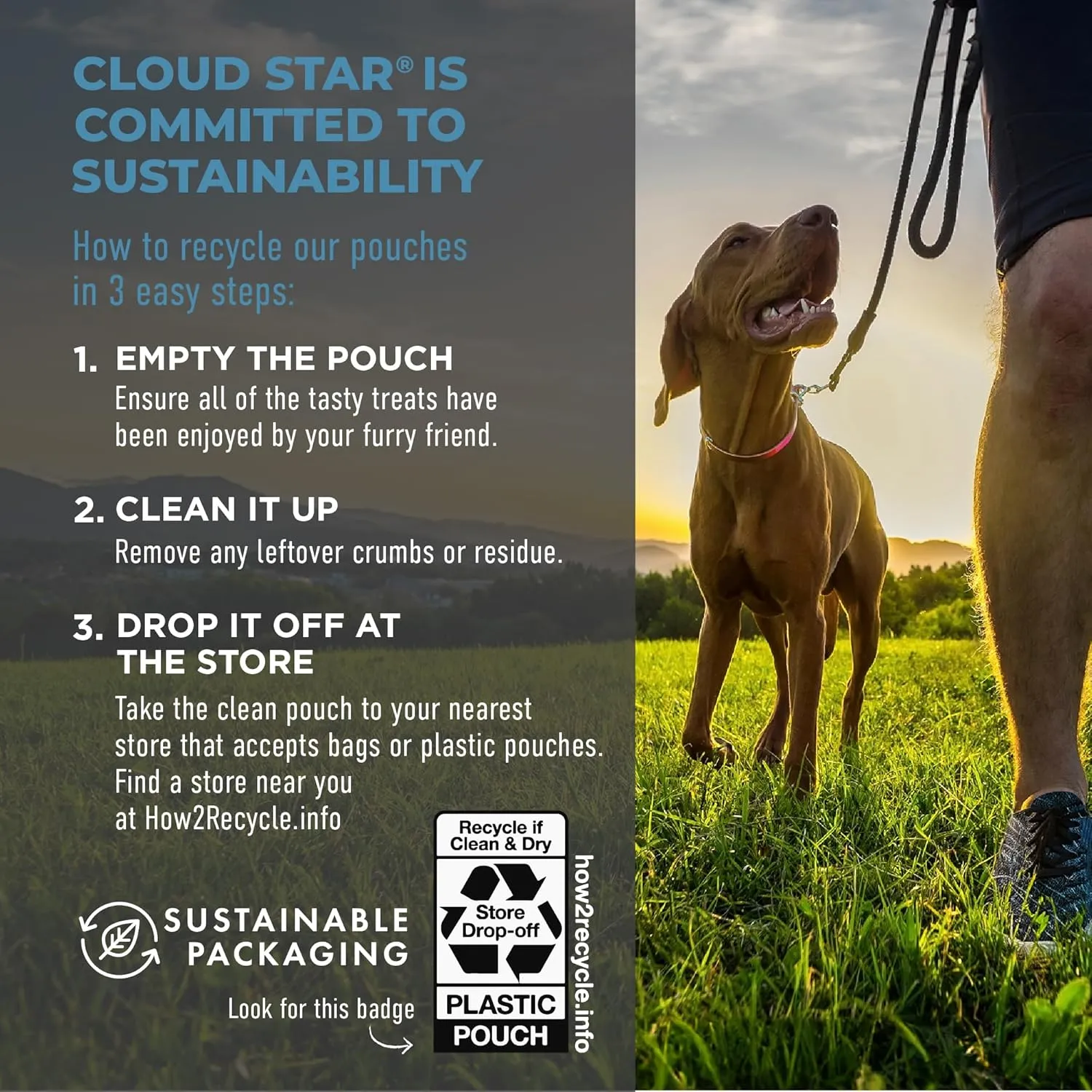 Cloud Star Tricky Trainers Soft & Chewy Dog Training Treats 14 oz. Pouch, Salmon Flavor, Low Calorie Behavior Aid with 360 Treats