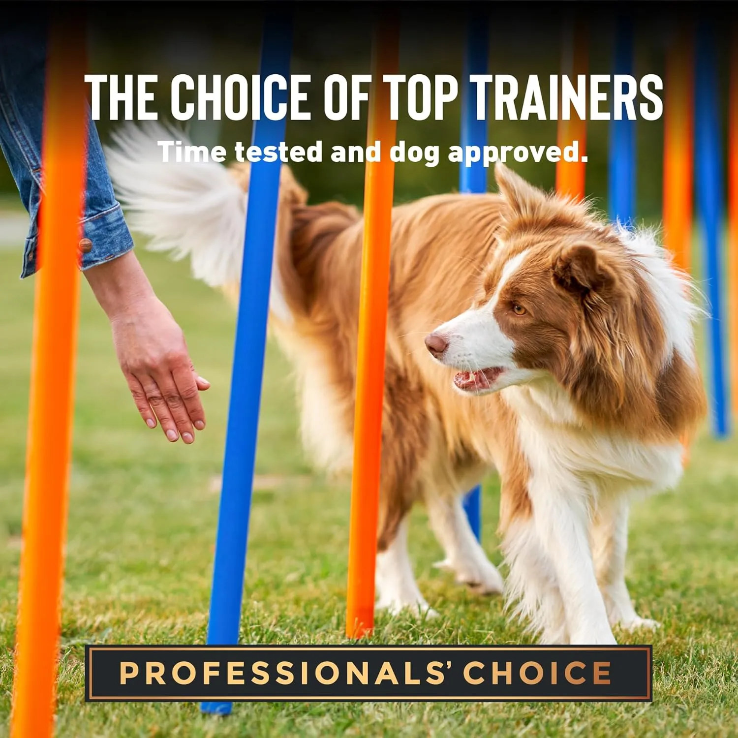Cloud Star Tricky Trainers Soft & Chewy Dog Training Treats 14 oz. Pouch, Salmon Flavor, Low Calorie Behavior Aid with 360 Treats