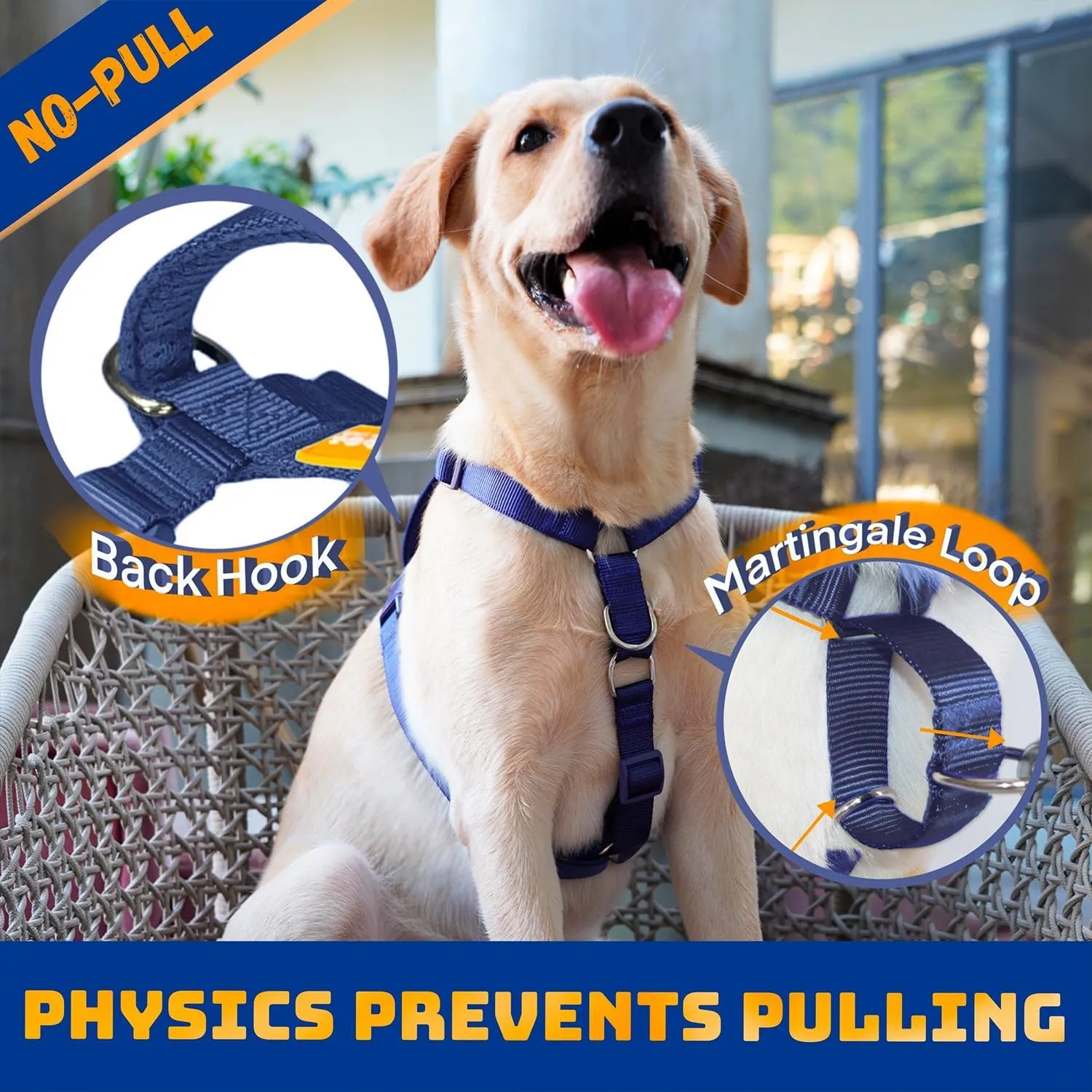 DF Freedom No Pull Martingale Dog Harness, Ease Grip Safety Control Handle, Escape-Proof 5 Point Customizable Fit Harness with Front & Back Clip, Easy Walking & Training, Navy Blue, Chest 22"-28"