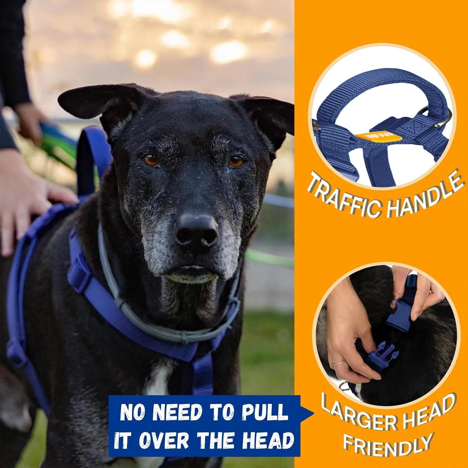 DF Freedom No Pull Martingale Dog Harness, Ease Grip Safety Control Handle, Escape-Proof 5 Point Customizable Fit Harness with Front & Back Clip, Easy Walking & Training, Navy Blue, Chest 22"-28"