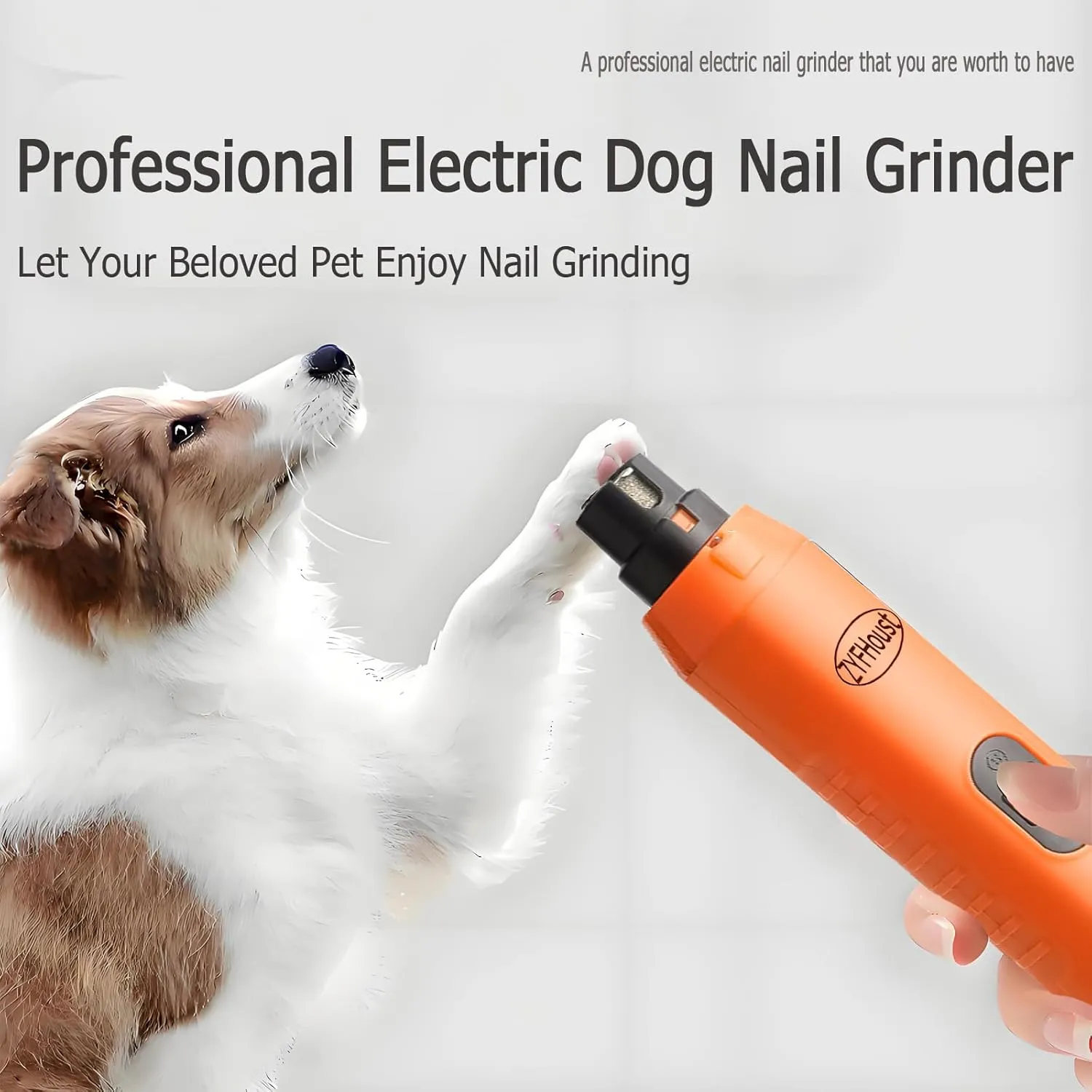 Dog Nail Trimmers, 5-Speed Professional Electric Dog Nail Grinder Quiet with 2 LED Lights, 2 Grinding Wheels for Large Medium Small Dogs and Cat (Orange)