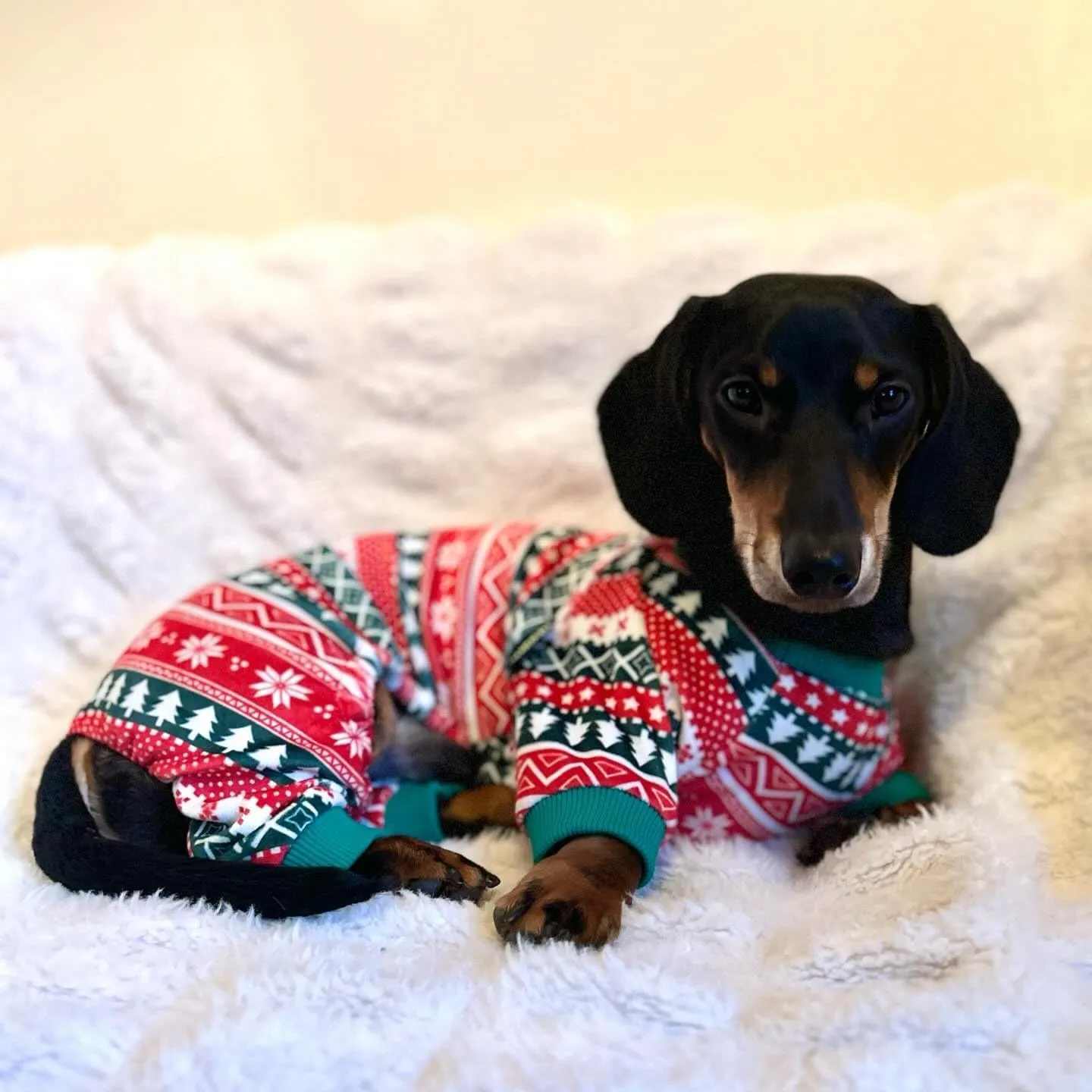 Fitwarm Dog Christmas Outfit, Dog Pajamas, Dog Winter Clothes for Small Dogs Boy Girl, Pet Ugly Sweater, Cat Costume, Red Green, Medium