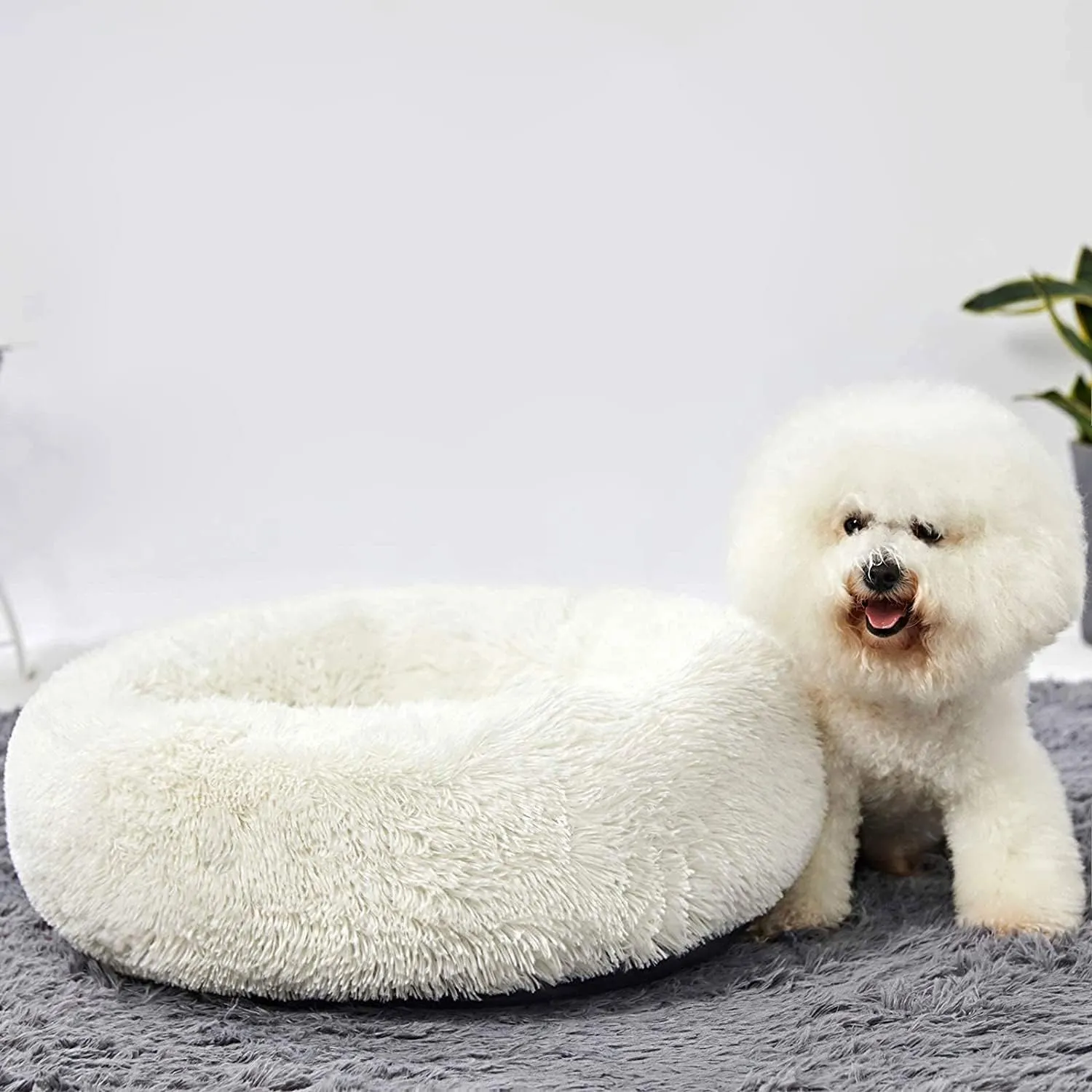 Hachikitty Calming Donut Cuddler Dog Beds, Medium & Large, 24''