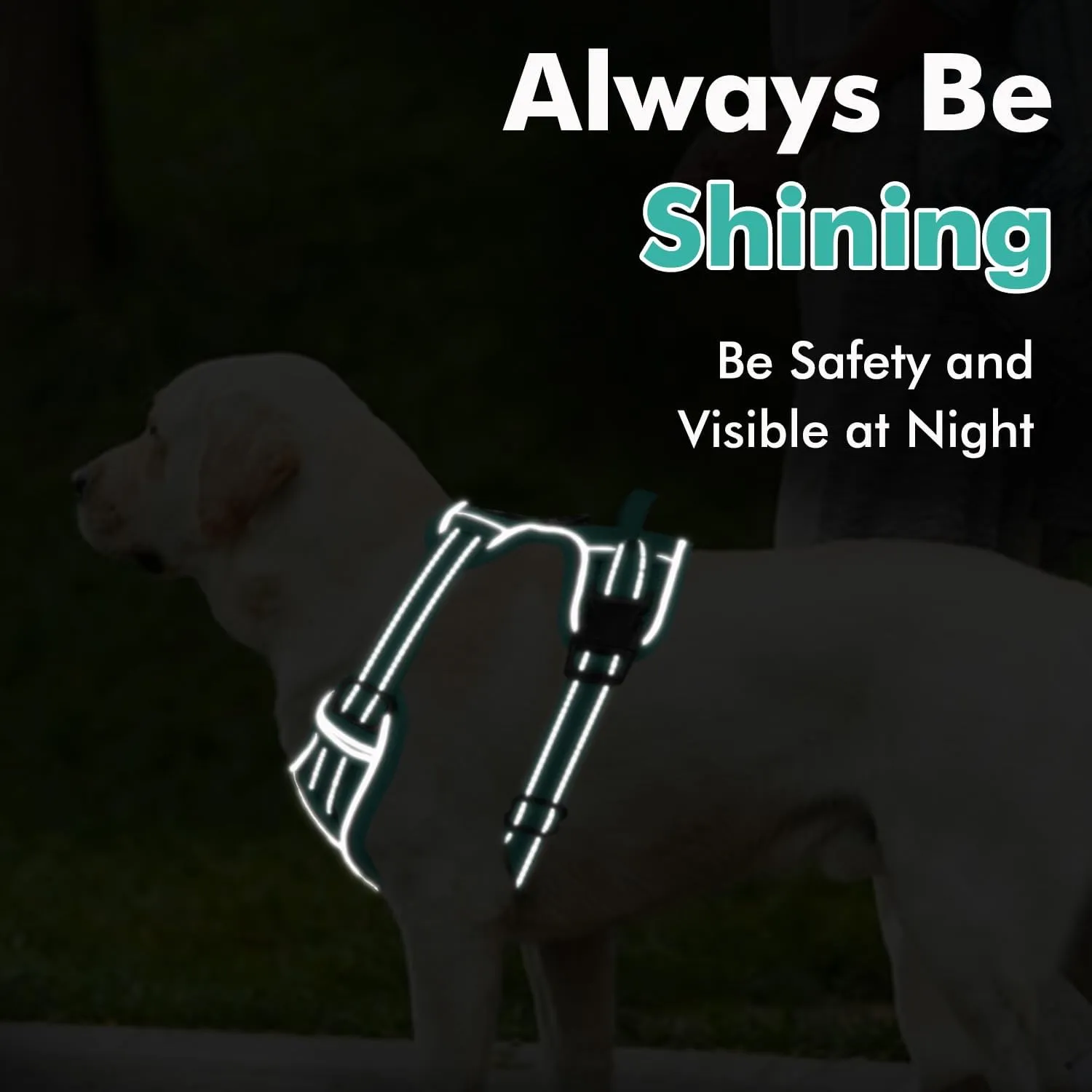 Joytale Step-in No Pull Dog Harness Medium Sized Dog with 2 Leash Clips, Reflective Pet Vest with Easy Control Handle, Adjustable Soft Padded Harness for Walking and Training, Teal,M