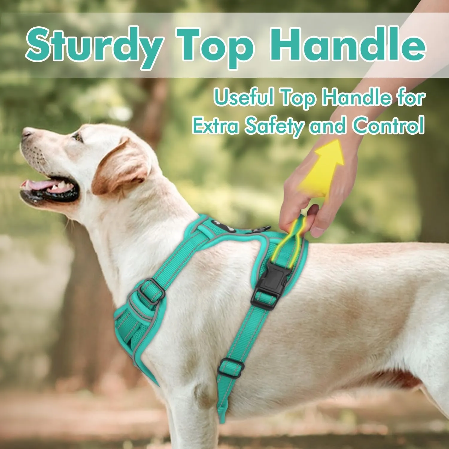 Joytale Step-in No Pull Dog Harness Medium Sized Dog with 2 Leash Clips, Reflective Pet Vest with Easy Control Handle, Adjustable Soft Padded Harness for Walking and Training, Teal,M