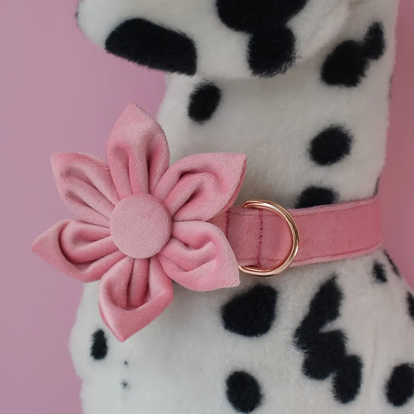 Magical Pink Shades: Personalized Bow Collar and Leash Set