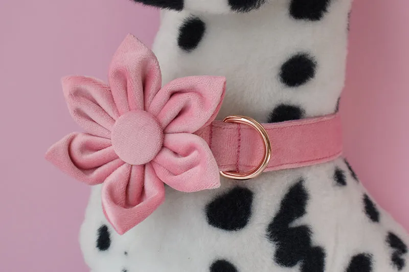 Magical Pink Shades: Personalized Bow Collar and Leash Set