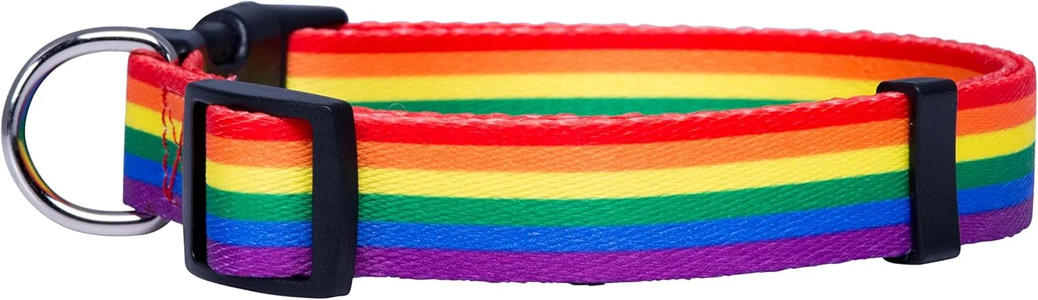 Native Pup Rainbow Flag Dog Collar Gay Pride Stuff for Parade, LGBTQ Flags Equality Pet Apparel Decor Gift and LGBT Ally Accessories (Small)