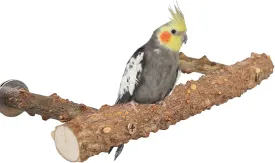 Natural Pepper Wood Bird Perches for Parrot - Wooden Bird Parrot Stand Branches Parakeet Cage Perch Accessories for Small Birds Budgies Cockatiels Conure Lovebirds