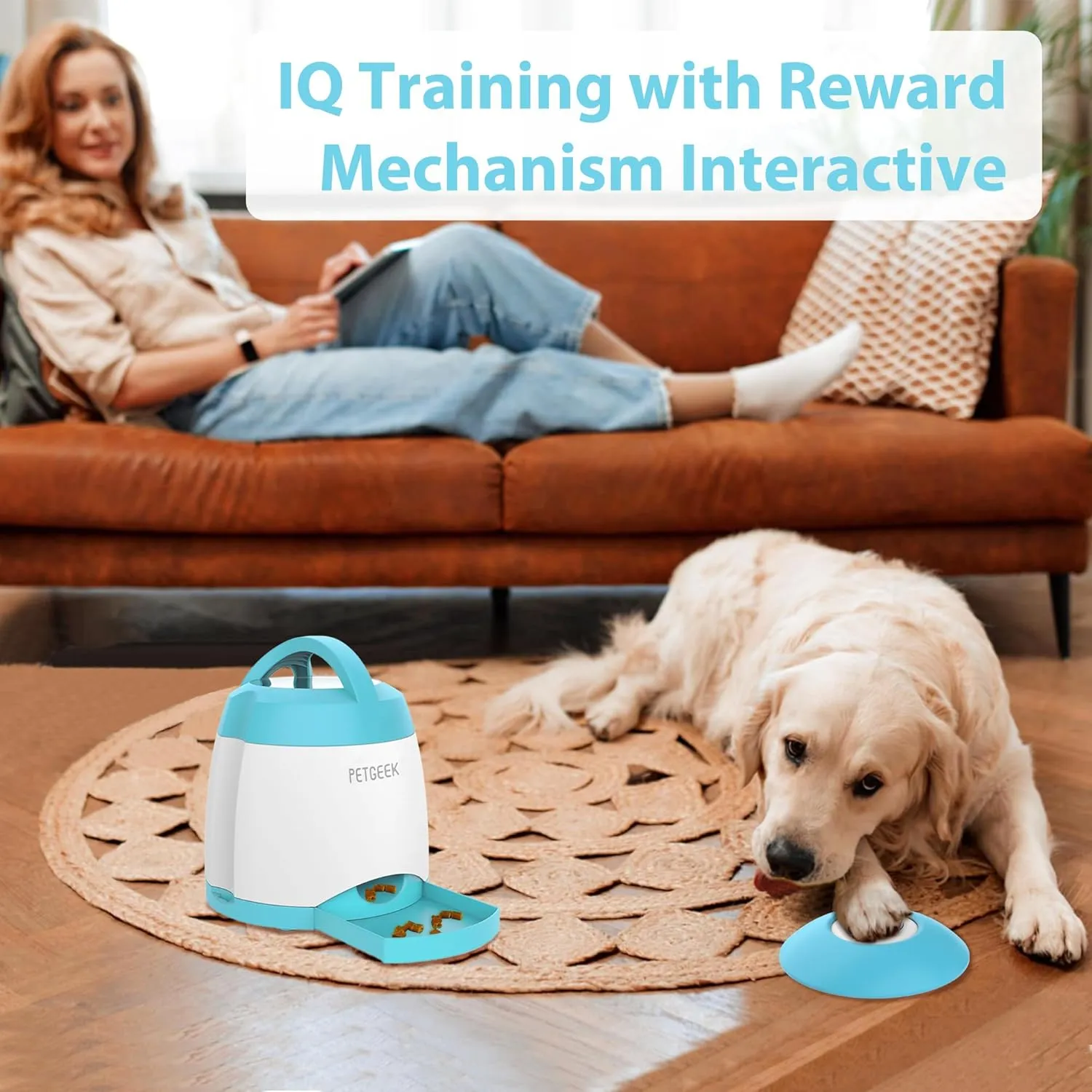 PETGEEK , - IQ ,()
