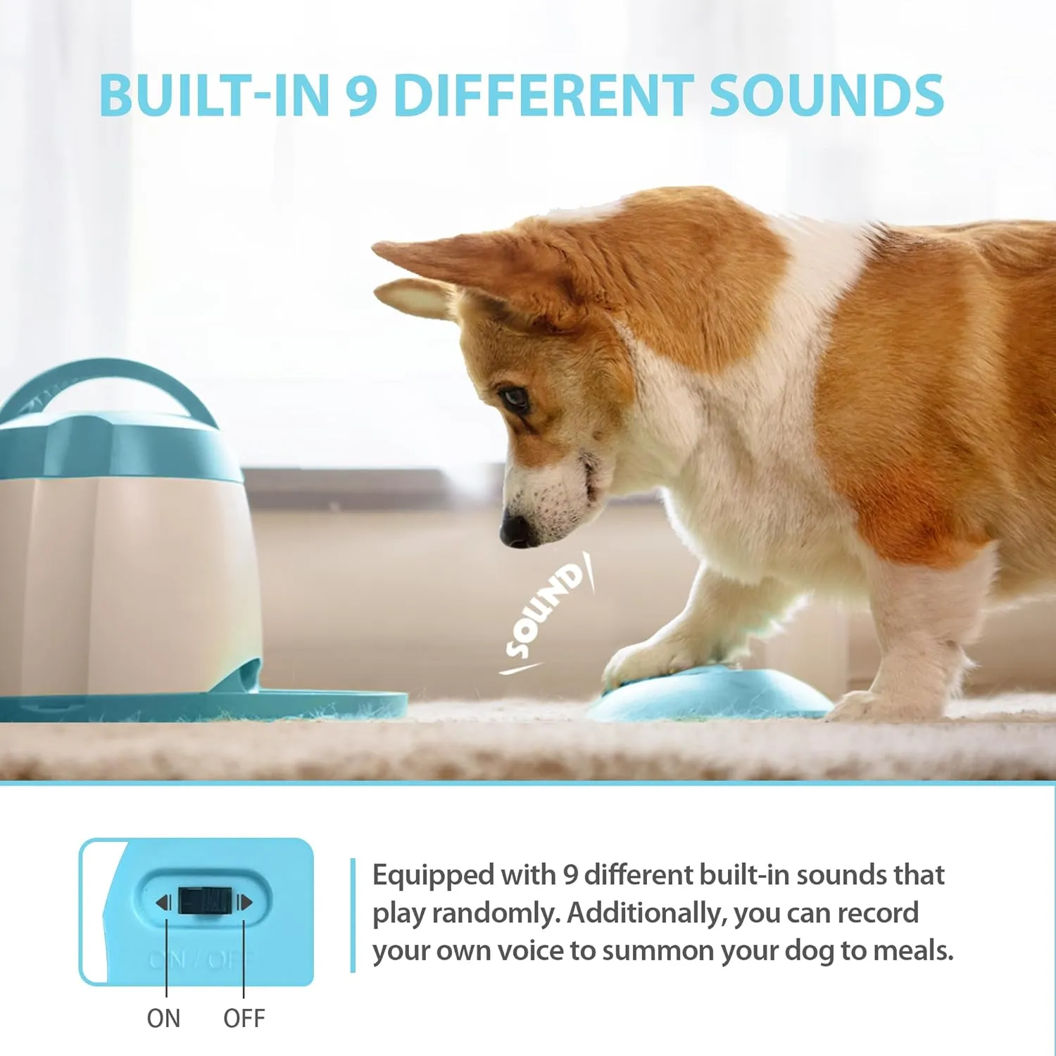 PETGEEK , - IQ ,()