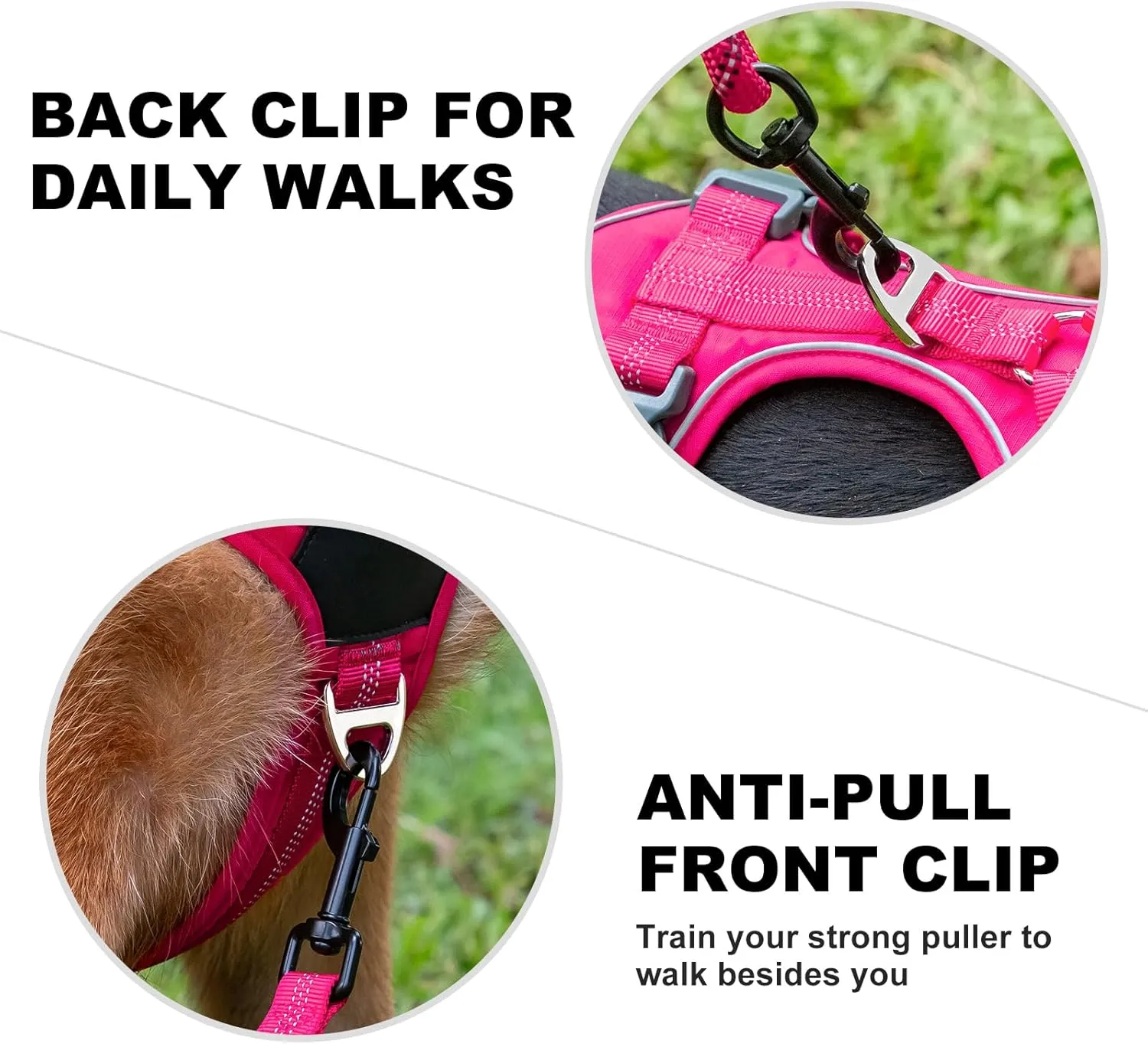 Plutus Pet No Pull Dog Harness, Release at Neck, Soft Padded, Reflective Adjustable Dog Vest Harness for Small, Medium, Large Dogs(Hot Pink, M)