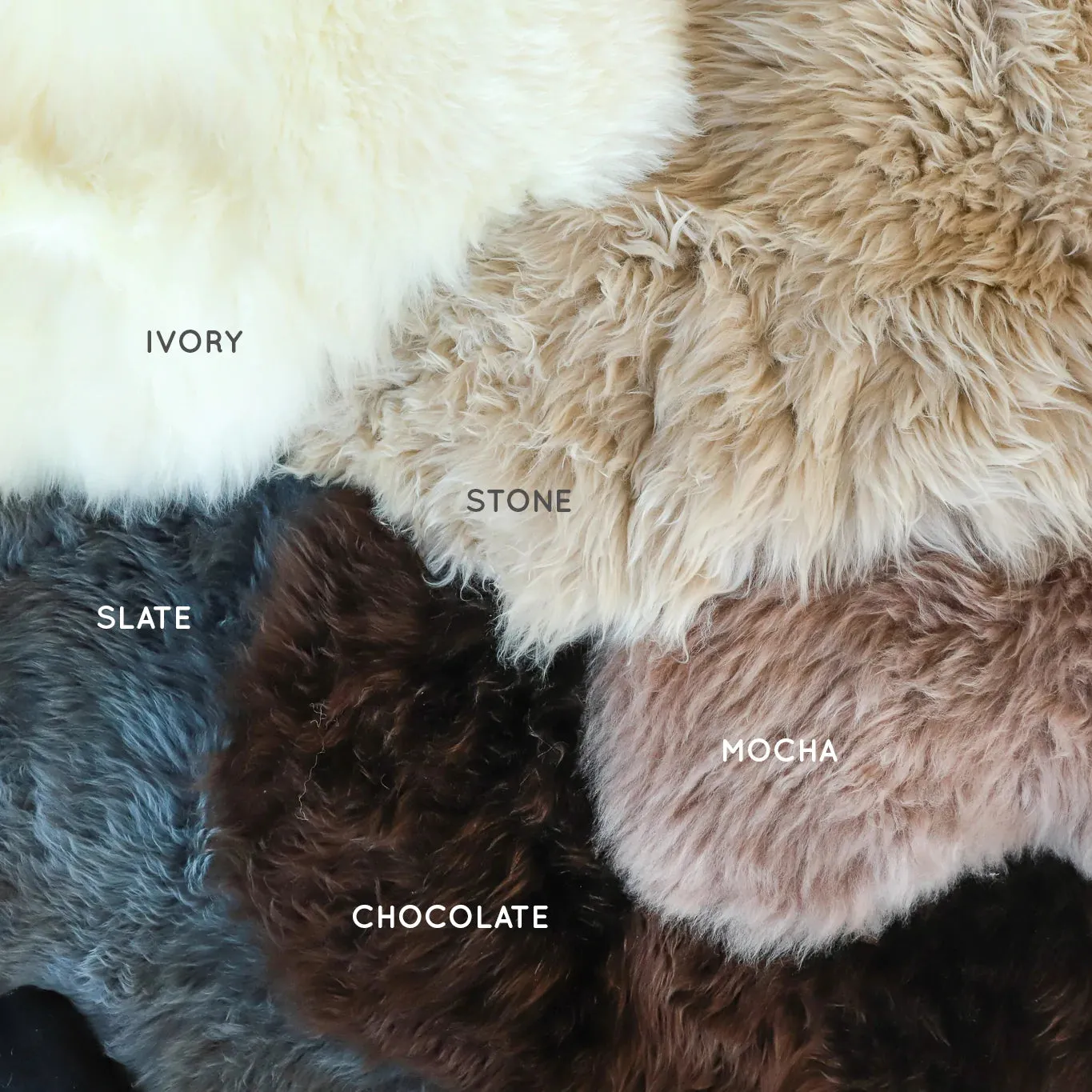 Premium Dog Bed Bundle