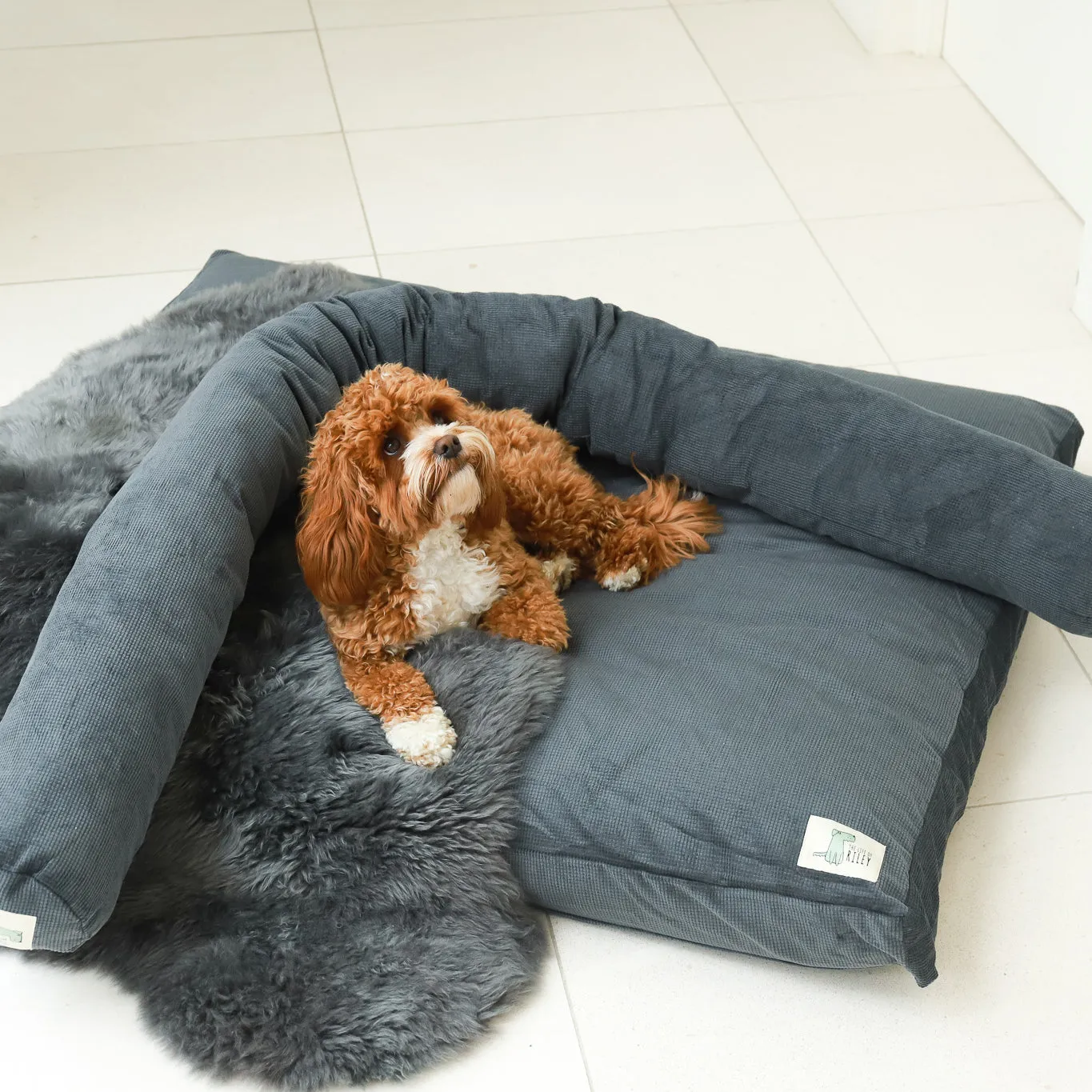 Premium Dog Bed Bundle
