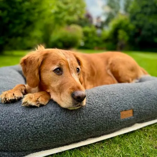 PupPillow Dog Bed - Large