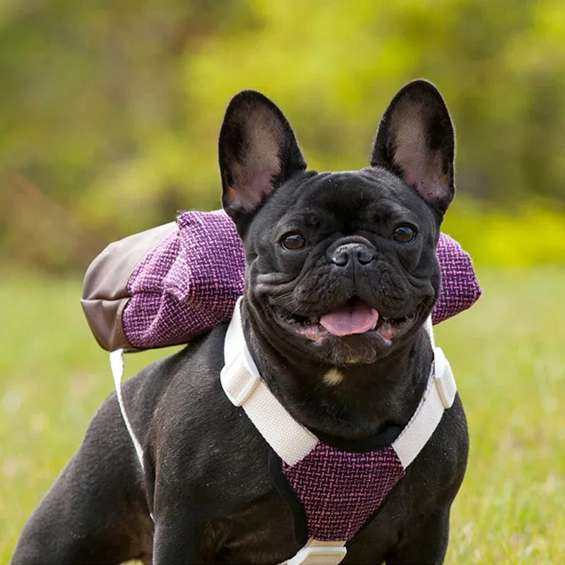 Puppy Backpack Breathable