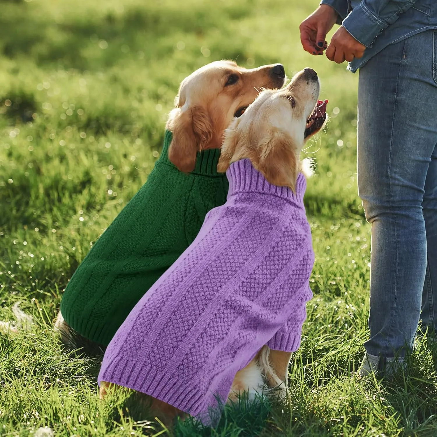 Queenmore XSmall Dog Sweater - Soft Knitted Christmas Clothing, Turtleneck Pullover for Puppies, Cozy Pet Knitwear for Teacup, Chihuahua (Purple, XS)