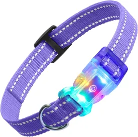 Rechargeable LED Dog Collar Suit for Small Large Dog, Dazzling Glow-in-The-Dark Light Collar, Prevent Traffic Accident Anti-Stampede Pet Supplies Glowing Collar (Purple)