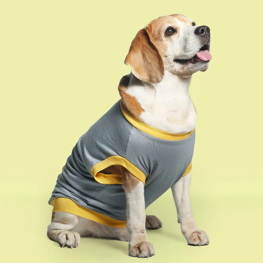 Single Taken Dog T-shirt