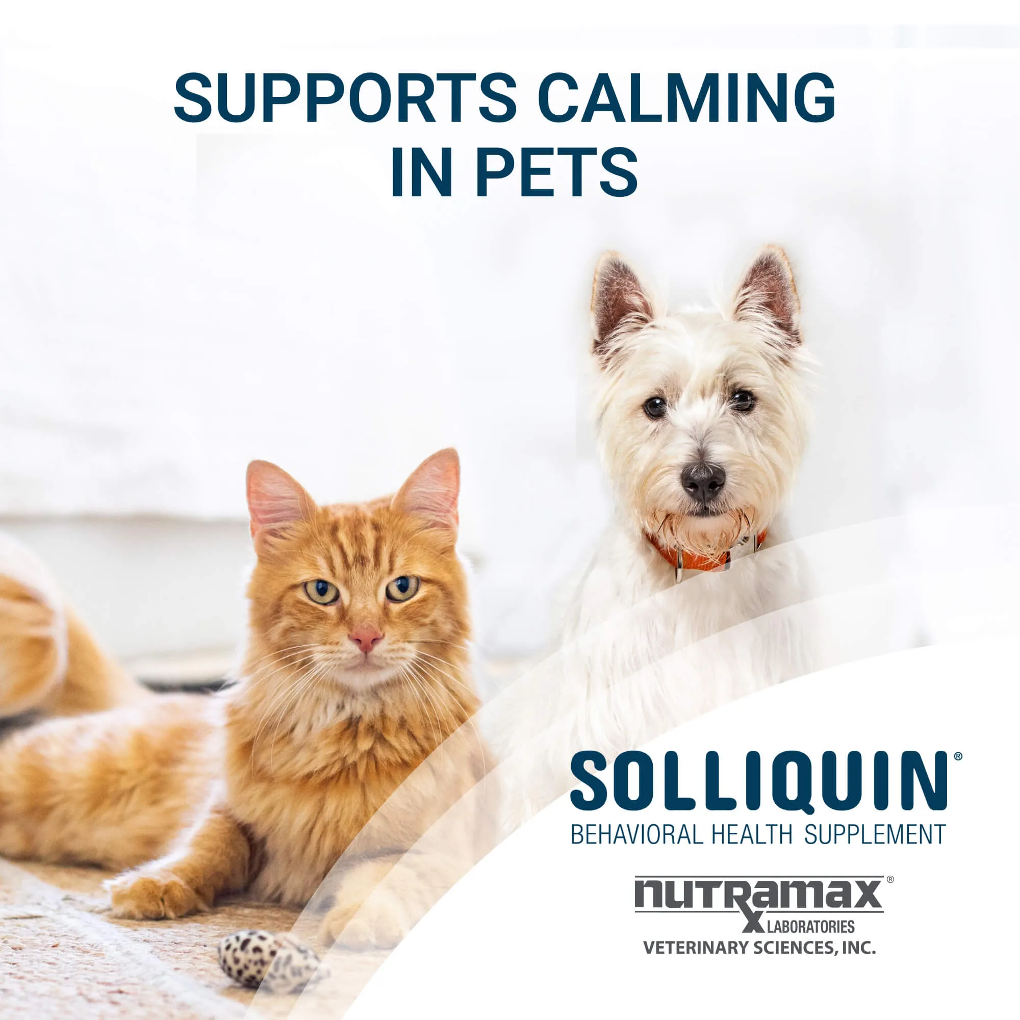 Solliquin Soft Chews 75 ct for SM to Med Dogs/Large Cats