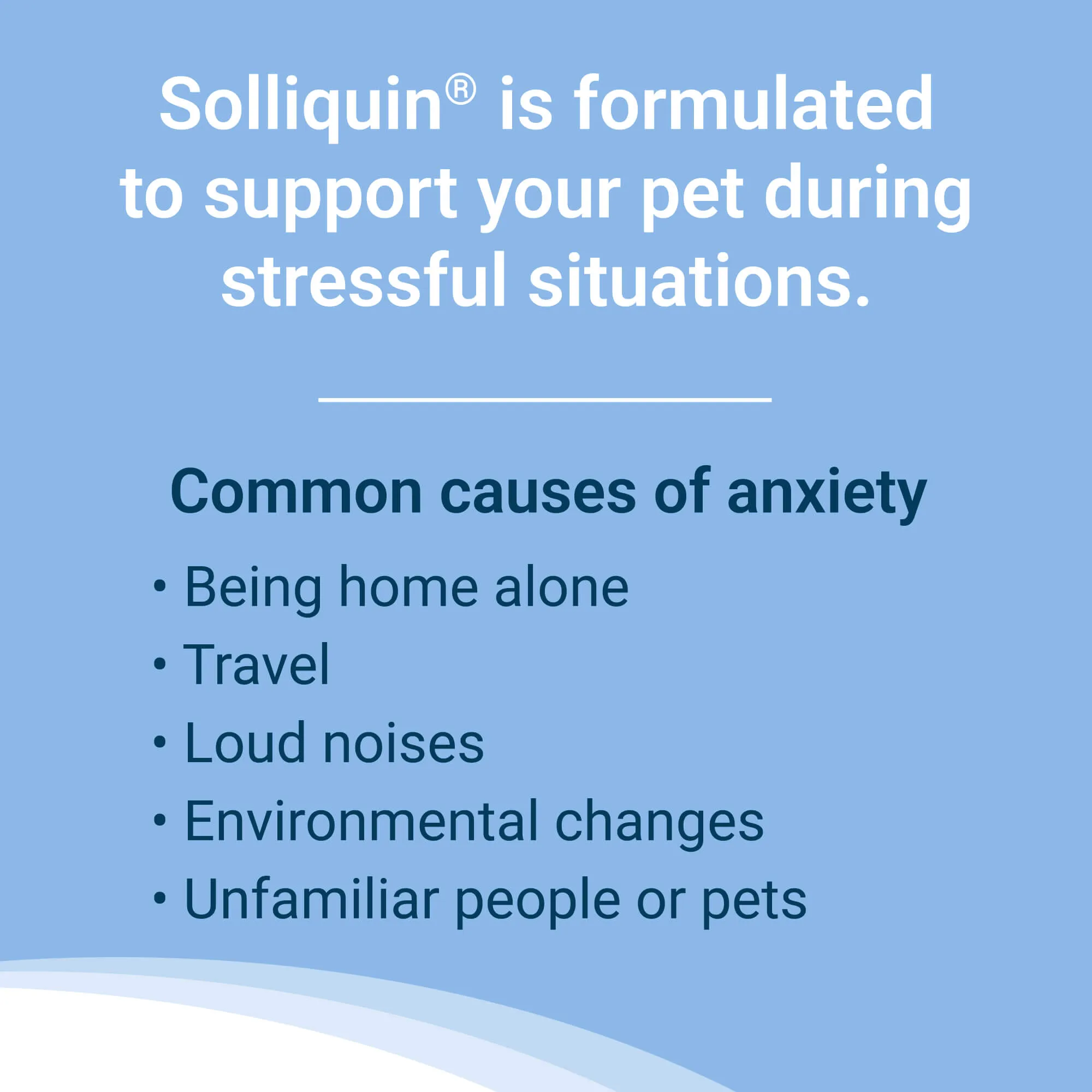 Solliquin Soft Chews 75 ct for SM to Med Dogs/Large Cats