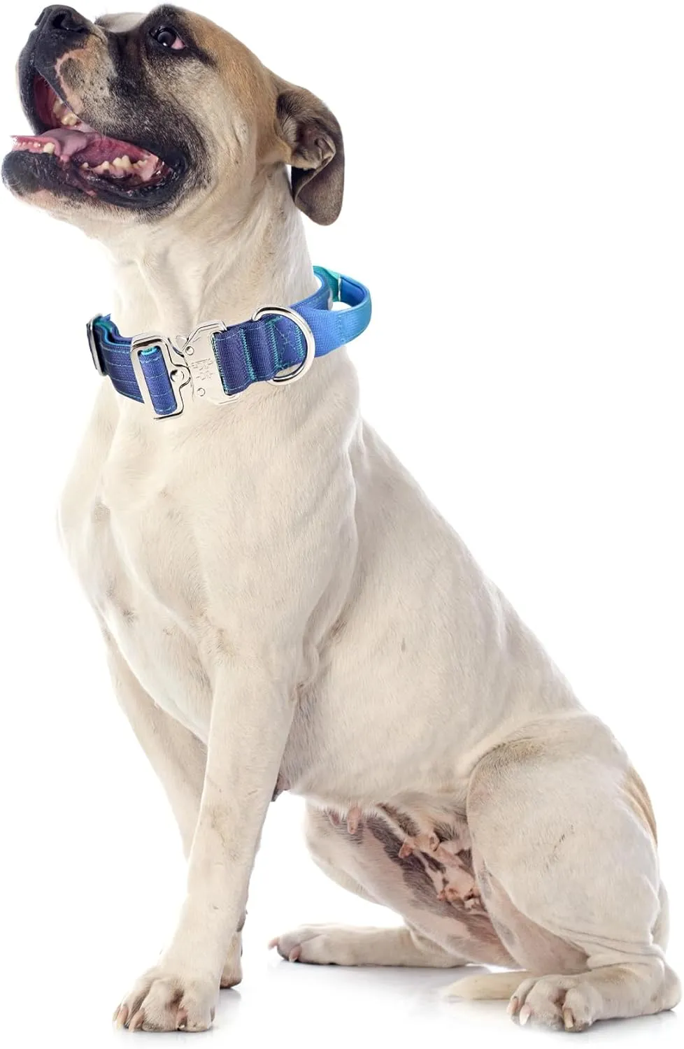 Tactical Dog Collar, Wide Thick Heavy Duty Dog Collar with Handle, Soft Neoprene Padded Military-Grade Nylon Training Collar with Quick Release Metal Buckle for Large Dogs (Blue, M)